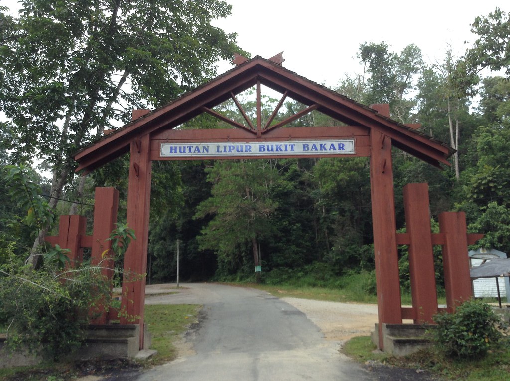 Hutan Lipur Bukit Bakar